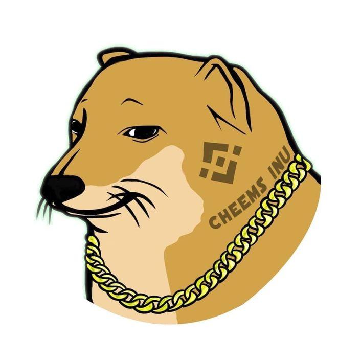 CHEEMSINU ico